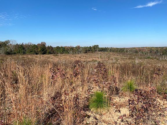 4th image of 60 / Acres #On