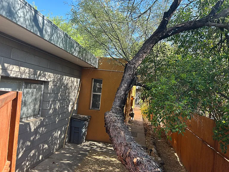 3203 E Terra Alta Blvd #B — Photo 21