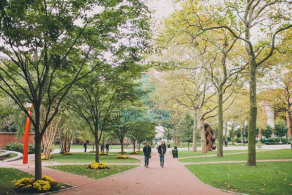 Rented by null | media 61