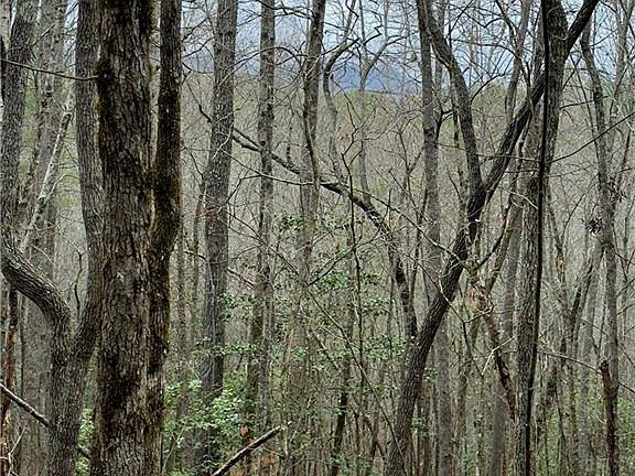 2nd image of 807 E Ridge Ln #22