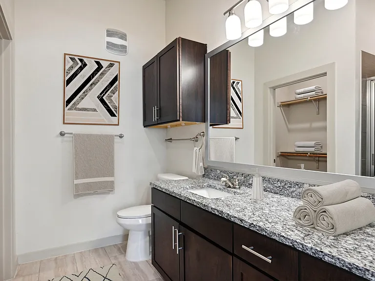 Firewheel Town Village 55+ — Photo 10