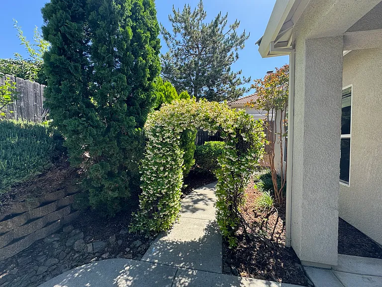 7729 Briarberry Way — Photo 31