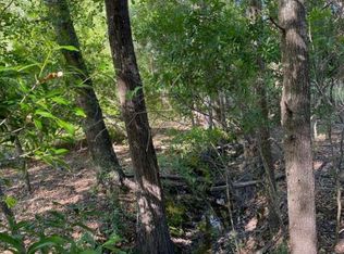 184 Mott Dr, Cope, SC 29038