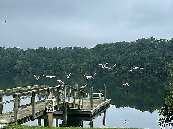 fresh water lake dock
