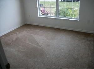 3rd image of 316 Huron Dr