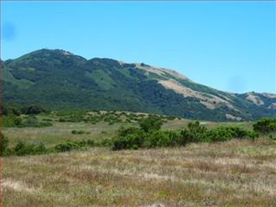 5 Mesa Trl, Carmel, CA, 93923
