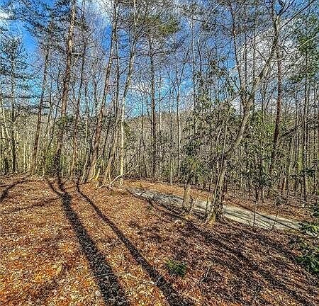 2nd image of 0 T S Jarrard Rd