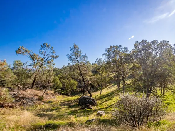 1 Long Hollow Ct S, Coarsegold, CA 93614