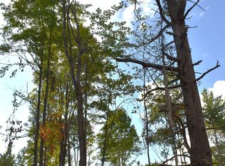 PARCEL B S Straits Hwy #8993, Wolverine, MI 49799