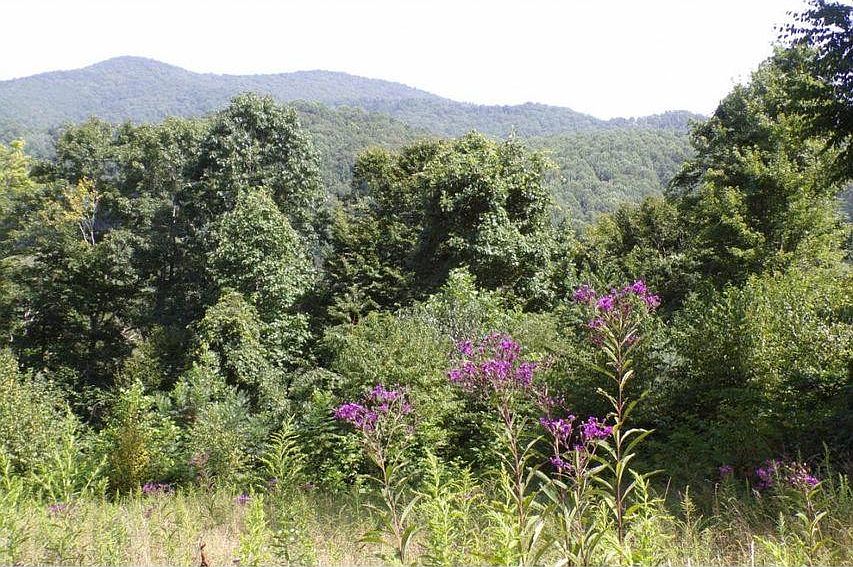 2nd image of Arrowhead Trl