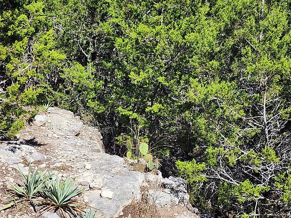 4th image of LOT 74 Bluff View Rd