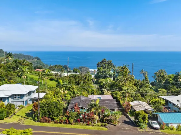 36-132 Manowaiopae Homestead Rd, Laupahoehoe, HI 96764