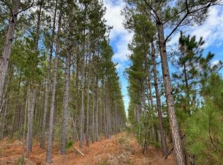 0 Pleasant Hill Dr, Hemingway, SC 29554