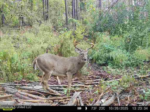 Union Rd SE, Brookhaven, MS 39601