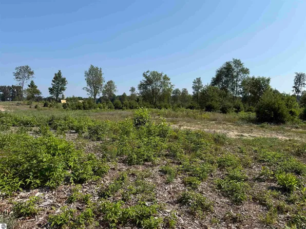 PARCEL Eight S Bright Rd #A-a8, Maple City, MI 49664