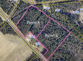 Old Charleston Rd #B, Pelion, SC 29123