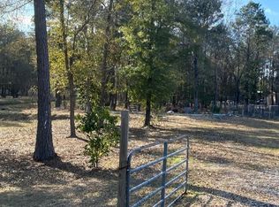 23859 Mydas Fly Ln, New Caney, TX 77357