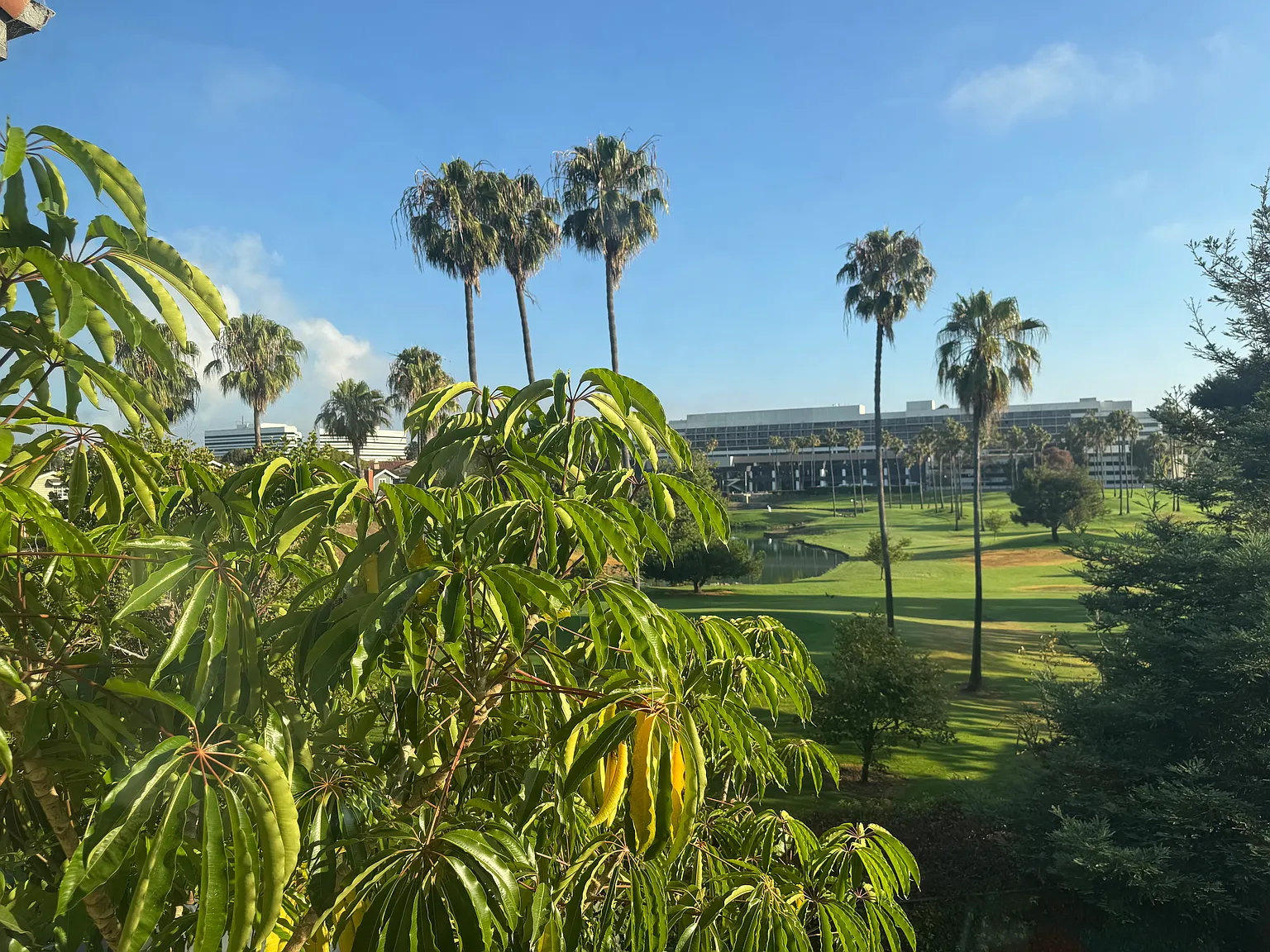 25 Coronado Ct — Photo 2
