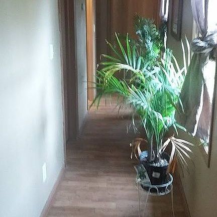 2nd image of 3040 W Garden St
