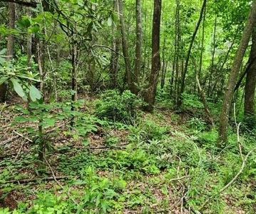 167 Calvender Rd, Turtletown, TN, 37391