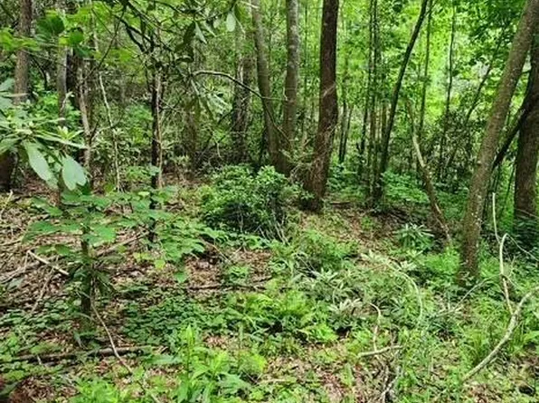 167 Calvender Rd, Turtletown, TN 37391