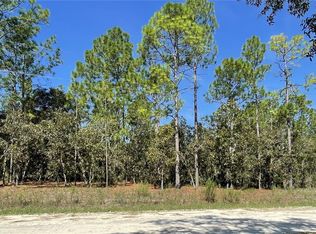 SW 134th Ave LOT 3, Dunnellon, FL 34432