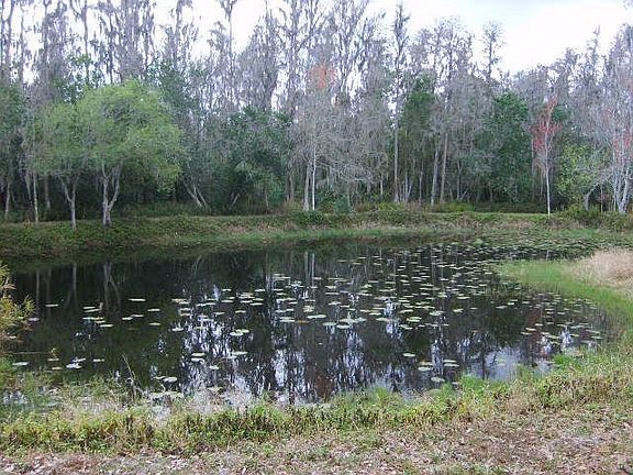 2 conservation fish ponds