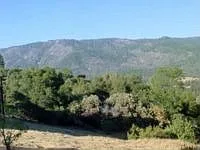 56374 Horn Rd photo 1