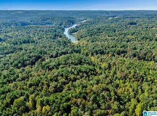 0 County Highway 27 #6, Oneonta, AL 35121