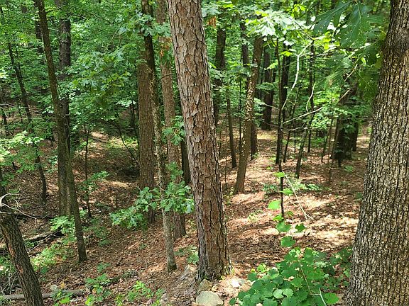 4th image of 0 Cedarglade Rd Lot Wp000
