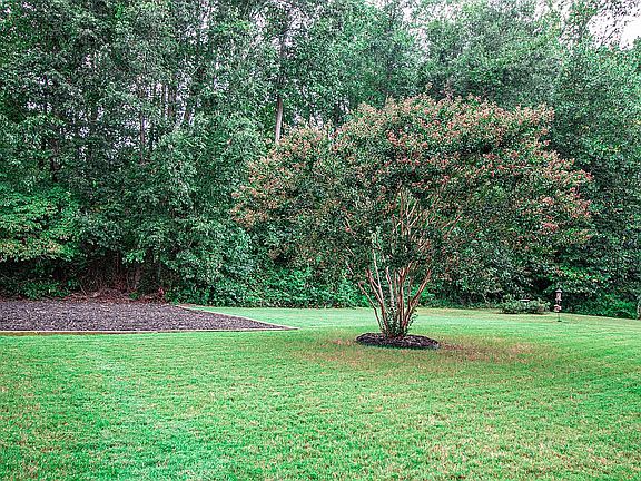 3rd image of 220 Twilitemist Dr