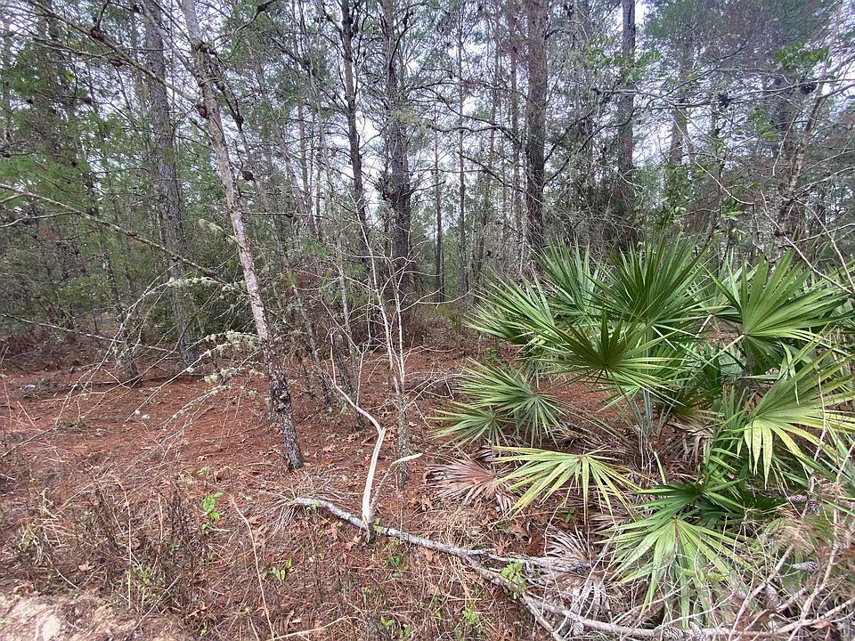 2nd image of 211 Suge Ln