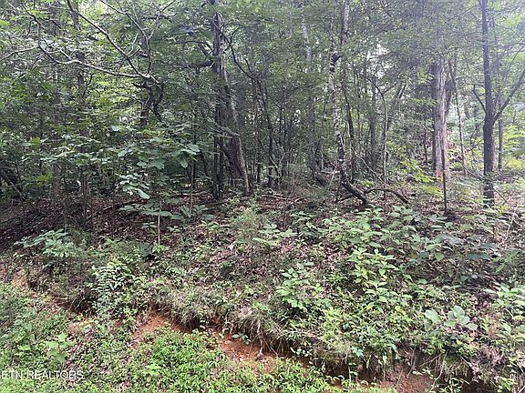 2nd image of 3278 Hillside Pl Lot 1427