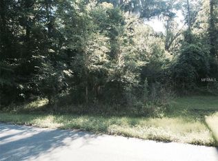 2597 Cr 426f, Lake Panasoffkee, FL 33528