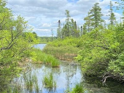 Highland Lake Road, Highland Lake, NY, 12743