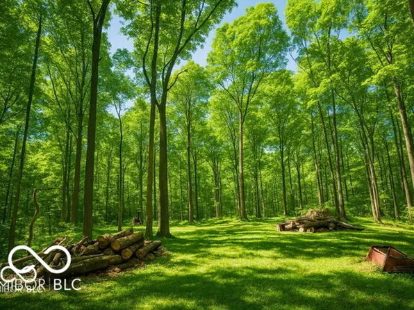 9660 Old Haggard Rd, Morgantown, IN 46160