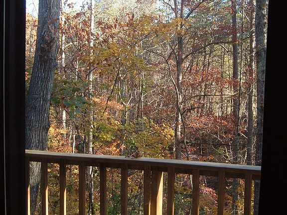 Fall View From Balcony