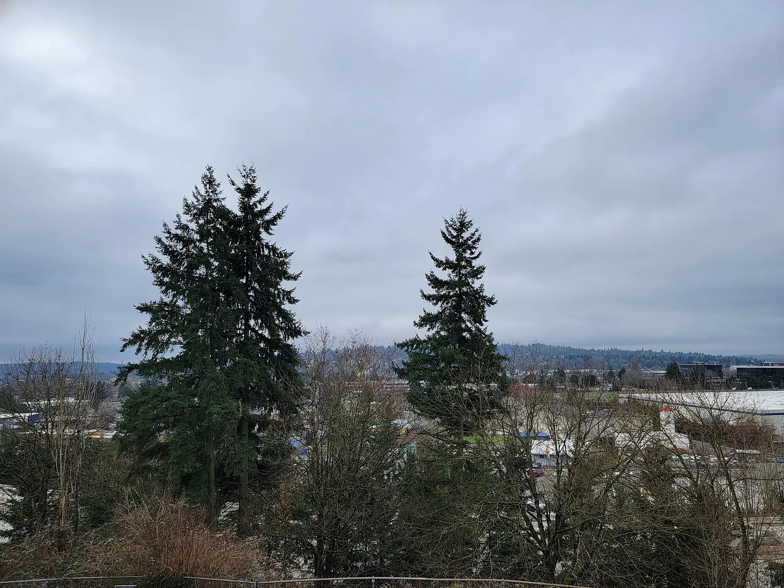 Renton Highlander - 3 — Photo 4