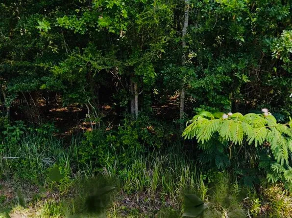 Saint Ann Street & Lot 74, Gautier, MS 39553