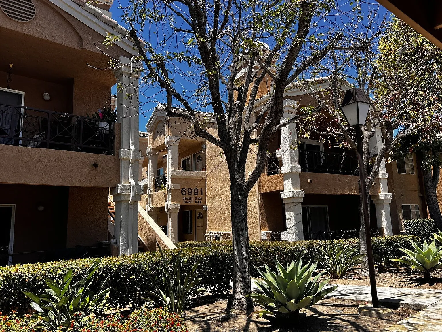 2 bed, 2.0 bath, 968 sqft, $3,100 — Photo 4