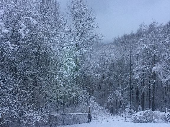 4th image of 9815 E State Road 45
