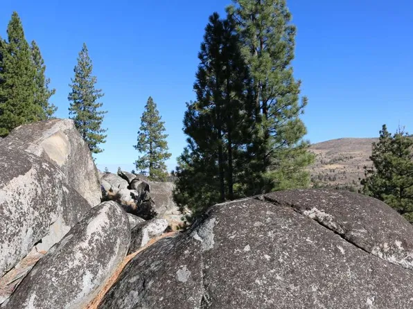 T20 R S18 Long Valley Rd #18, Chilcoot, CA 96105