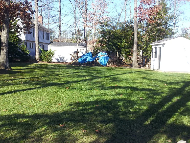 Large back yard for running around