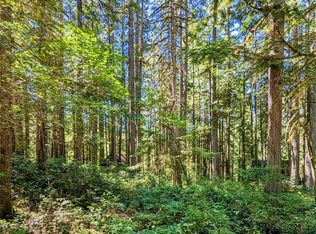 LOT 64 Cacade River Park #2, Marblemount, WA 98267