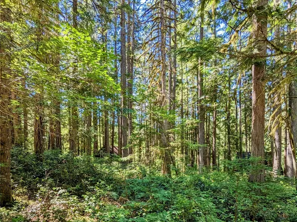 0 Lot 64 Cacade River Park #02, Marblemount, WA 98267