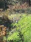 2nd image of 0 S Saddle Ridge Rd