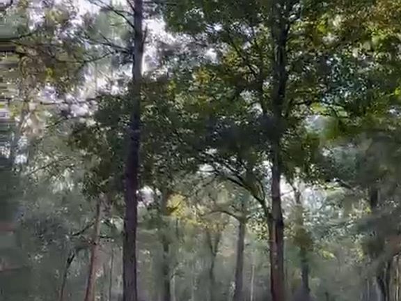 4th image of 26164 Grand Pines Rd #4-18D