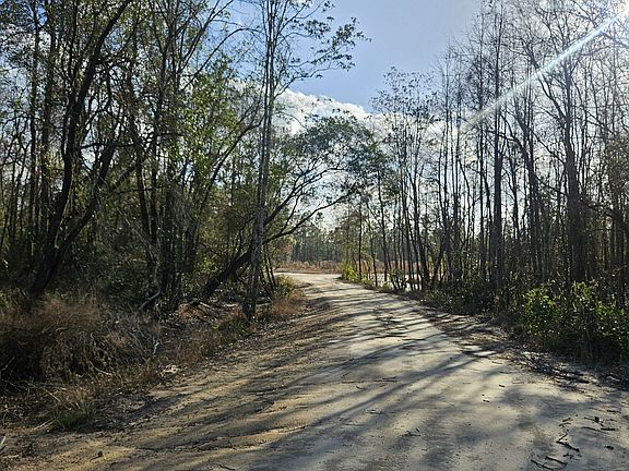 4th image of 0 Mill Branch Club Rd Lot 1N