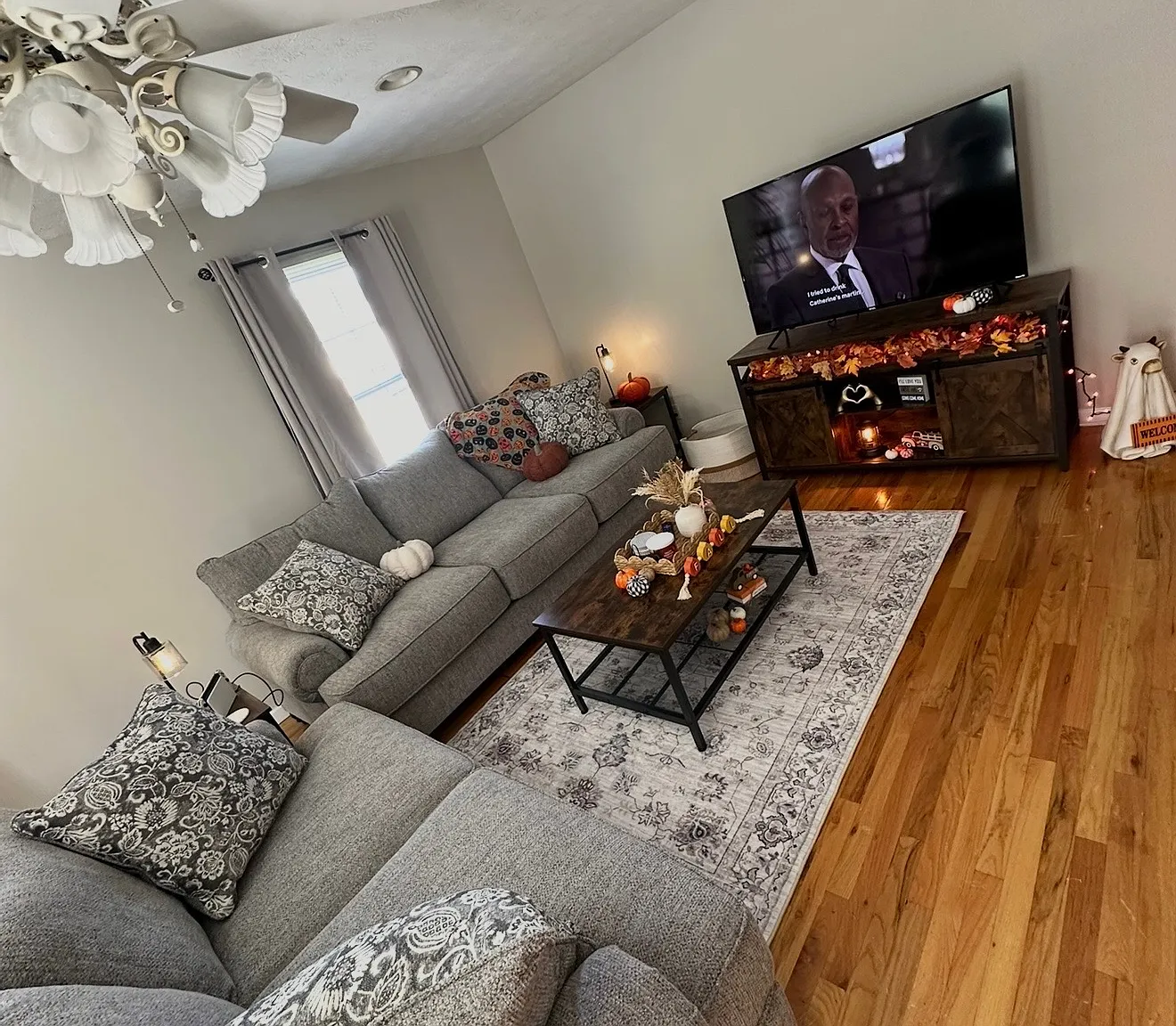 1 bed, $725 — Photo 3