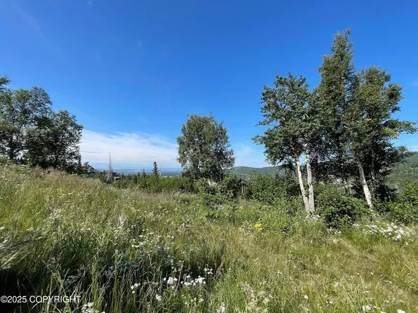 L16a B10h Harwood Cir, Anchorage, AK 99516